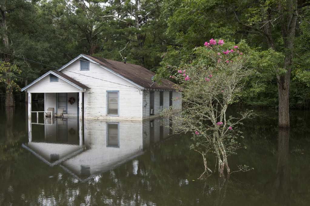 Floodwaters becoming stagnant in Ascension Parish